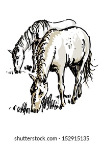 Grazing horses, drawing, vector illustration