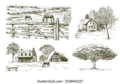 Grazing horses, rural landscape, farm, beautiful old tree.