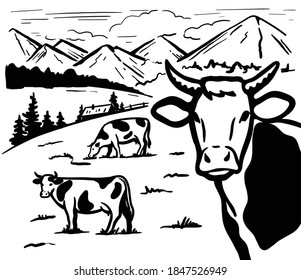 grazing livestock in the Alpine valley. silhouettes of cows on a background of mountains