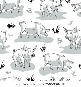 Grazing pigs monochrome pattern seamless with piglets eating grass or acorns while walking on territory of livestock farm vector illustration