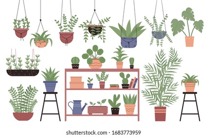 Great amount variety plants in pots flat design vector illustration set isolated on white background. Different indoor space size decoration elements. Houseplants on stand, on shelves, hanging, floor