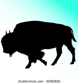 Great bison silhouette