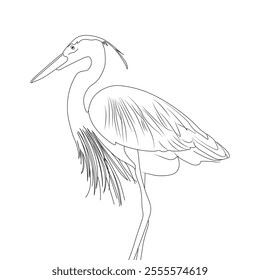 Great Blue Heron bird Line Art vector design. Great Blue Heron bird outline illustration design.
