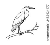 Great blue heron bird  vector line art illustration icon logo