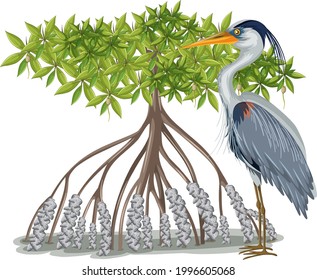 Great Blue Heron with Mangrove Tree in cartoon style on white background illustration