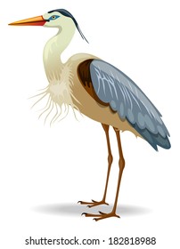 Great blue heron- Vector illustration