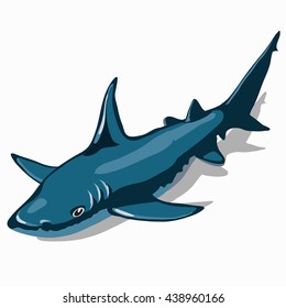 Great blue shark isolated on white background. Vector illustration.