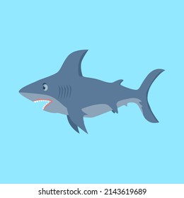 Great blue shark. Shark swims in the sea