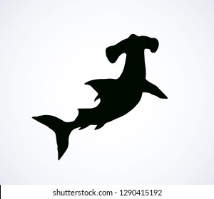 Great bonnethead Sphyrna mokarran on white backdrop. Dark ink hand drawn picture logo emblem pictogram in art retro contour etching print style. View closeup with space for text