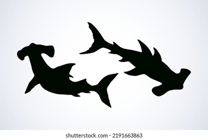 Great bonnethead Sphyrna mokarran on white backdrop. Dark ink hand drawn picture logo emblem pictogram in art retro contour etching print style. View closeup with space for text