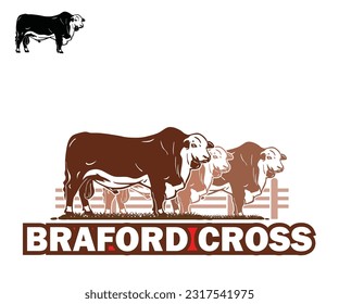 GREAT BRAFORD CROSS CATTLE, silhouette of young bull standing at farm vector illustrations