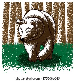 great brown bear. Vector illustration