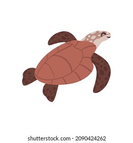 great brown turtle over white
