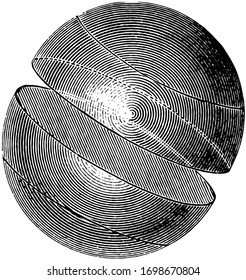 Great Circle, orthodrome is a large spherical object which can be divided into 2 equal hemisphere, vintage line drawing or engraving illustration.