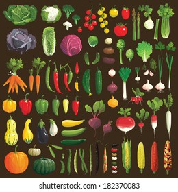 Great collection of the clip art vegetables