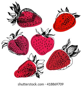 Great collection of hand drawn strawberries isolated on white background. Big set of realistic sketched black and white strawberry with color spots. Strawberry sketch.
