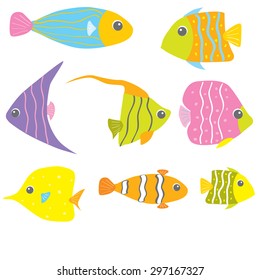 Great collection of a tropical fish