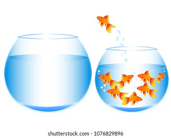 Great concept of breaking the golden fish into a new life