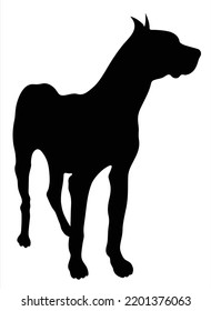 Great Dane black silhouette over white background