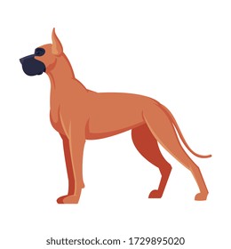 Great Dane Boxer Purebred Dog, Pet Animal, Side View Vector Illustration