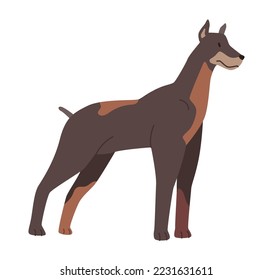 Great Dane breed of a canine animal, isolated curious dog looking aside. Portrait of puppy, domestic pet. Playful and cute mammal. Vector in flat style