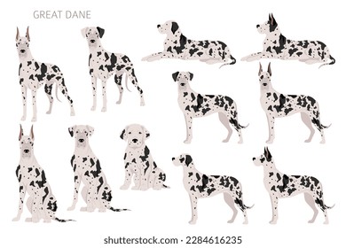 Great Dane clipart. Different poses, coat colors set.  Vector illustration