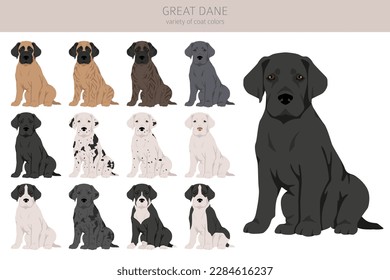 Great Dane clipart. Different poses, coat colors set.  Vector illustration