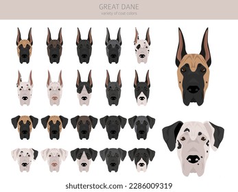 Great Dane clipart. Different poses, coat colors set.  Vector illustration