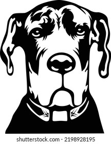 Great dane cute face for dog pet owner Dog owner pet lover EPS