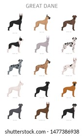 Great dane. Different variaties of coat color dog set.  Vector illustration