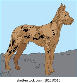 Great dane dog