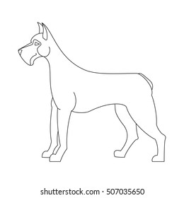 Great dane dog