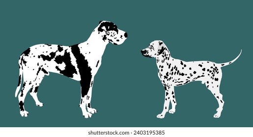 Great Dane dog against Dalmatian dog vector illustration isolated on background. Beware of dog. Protective sign. Guardian dog breed. Lovely pet, mans best friends and family member.