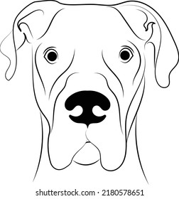 Great Dane dog breed face head isolated pet animal domestic pet canine puppy purebred pedigree hound portrait peeking paws smiling smile happy art artwork illustration design set collection