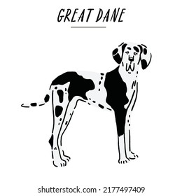 Great dane Dog breed Hand drawn Color Illustration