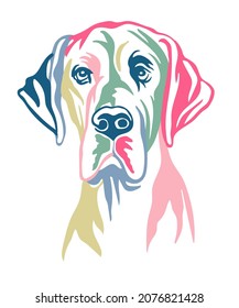 Gran retrato de color de perro dane. Cabeza de perro en la ilustración del vector de la vista frontal aislada en blanco. Para decoración, diseño, impresión, afiche, postal, pegatina, camiseta, crujido, tatuaje y bordado