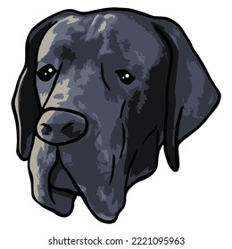 Great Dane Dog Colored Drawing