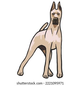 Great Dane Dog Colored Drawing