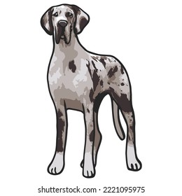 Great Dane Dog Colored Drawing