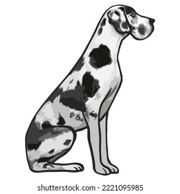 Great Dane Dog Colored Drawing