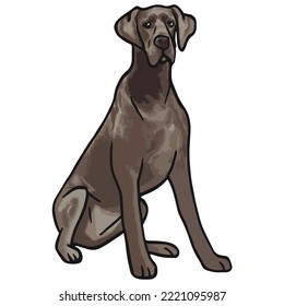 Great Dane Dog Colored Drawing