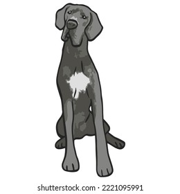 Great Dane Dog Colored Drawing