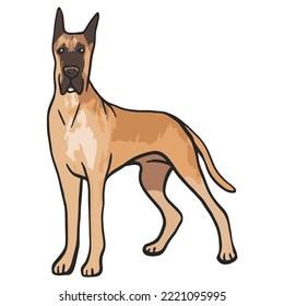 Great Dane Dog Colored Drawing