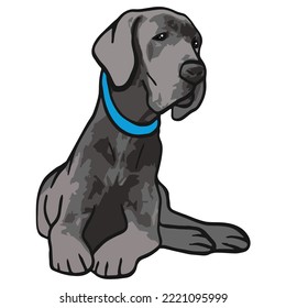 Great Dane Dog Colored Drawing