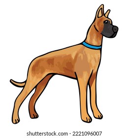 Great Dane Dog Colored Drawing