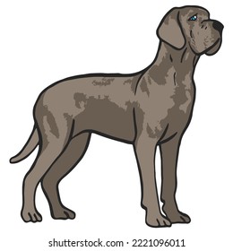 Great Dane Dog Colored Drawing