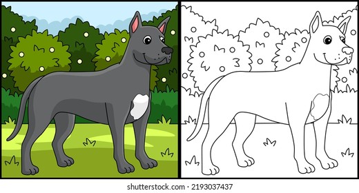 Great Dane Dog Coloring Page Colored Illustration