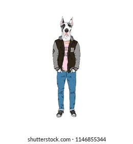  Great Dane dog dressed up in modern city swag style, anthropomorphic animal illustration