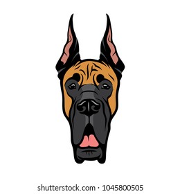 Great Dane dog - fawn color - isolated vector illustration