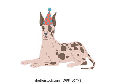 Great dane dog in holiday hat. Purebred breed animal with brown spots, family friendly pet. Vector flat cartoon isolated illustration for greeting christmas or birthday cards.